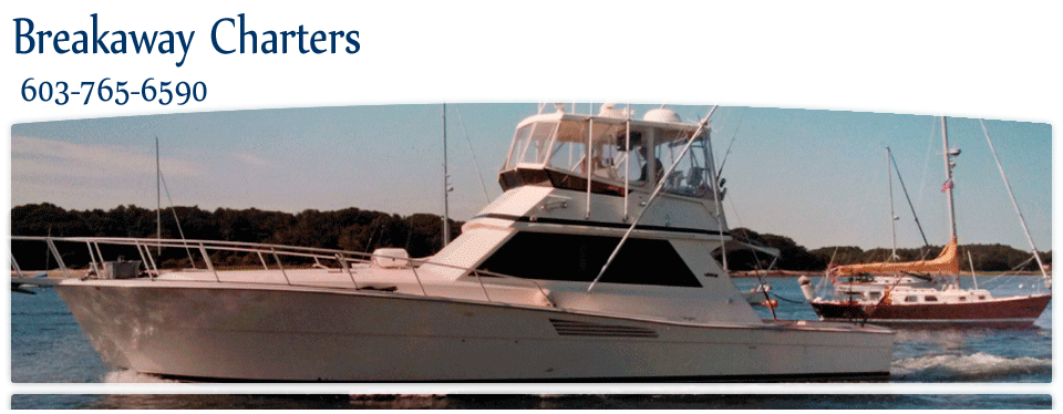 Header Graphic