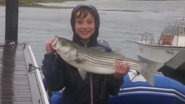 Striped bass tournament